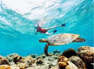 Snorkeling