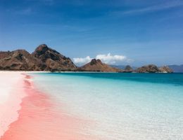 Pink Beach