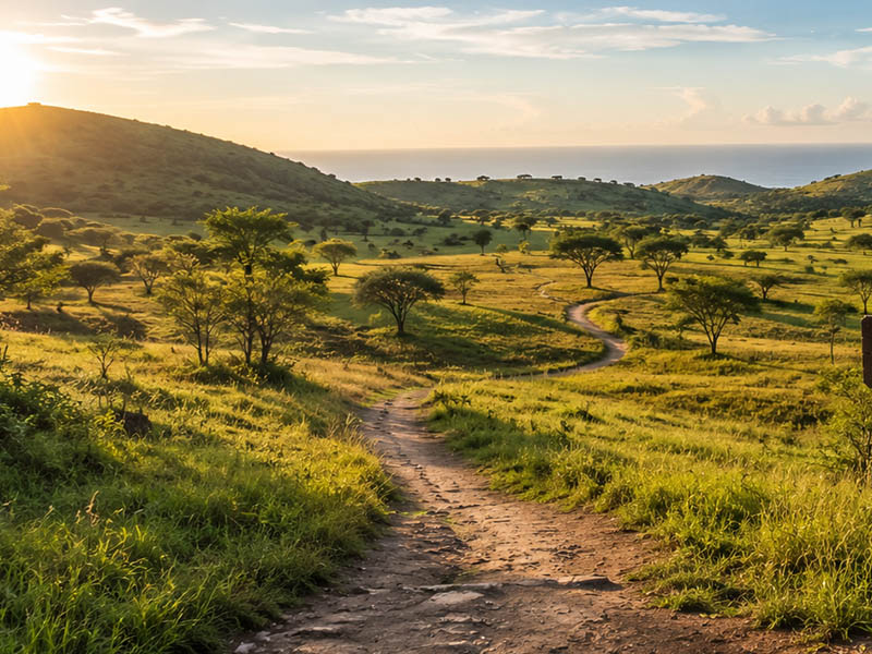 Propok Savanna