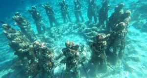Turtle snorkeling